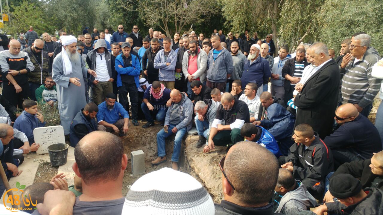 tashye3 abo kashef (11).jpg